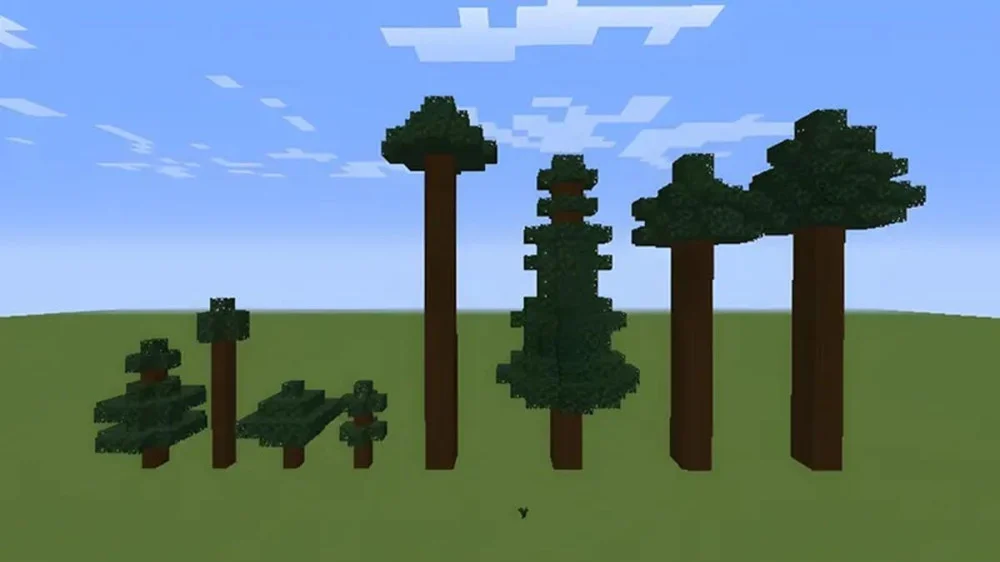 Đặc Điểm Và Vị Trí Khai Thác Gỗ Vân Sam Trong Game Minecraft 