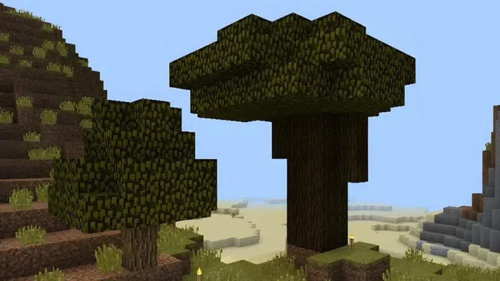 Đặc Điểm Và Vị Trí Khai Thác Gỗ Sồi Sẫm Trong Game Minecraft 