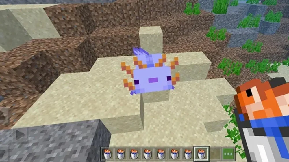 Tổng quan về Axolotl và lợi ích của chúng trong Minecraft 