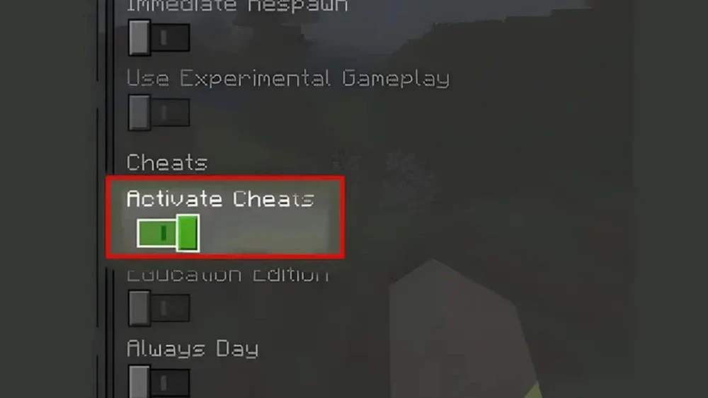 Kéo xuống tìm Activate Cheats rồi gạt sang ON để bật