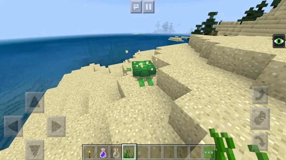 Tập tính xuất hiện, cách dẫn dụ và di chuyển của Rùa biển trong Minecraft 