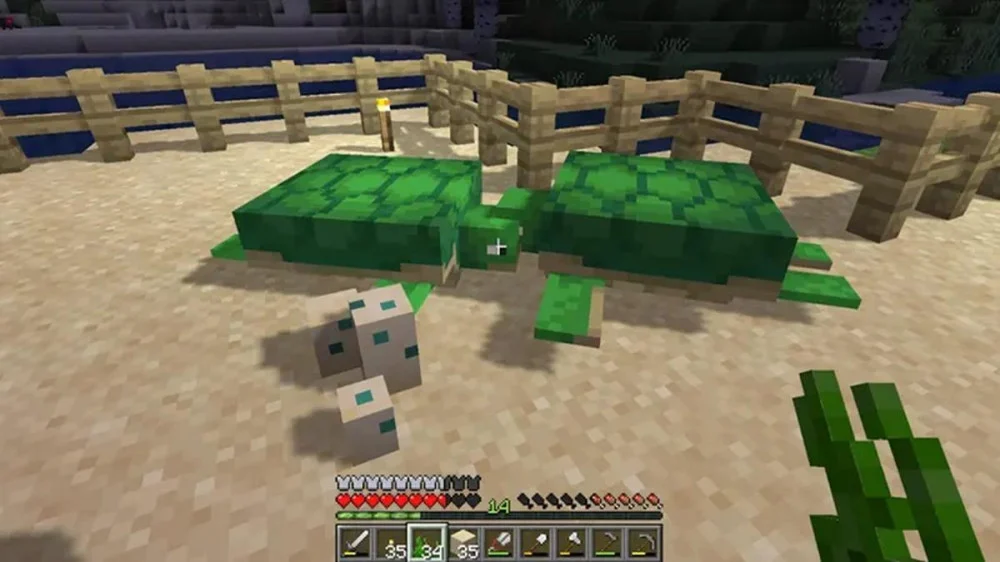 Tập tính nhớ nơi sinh và cơ chế đẻ trứng của Rùa biển trong Minecraft 