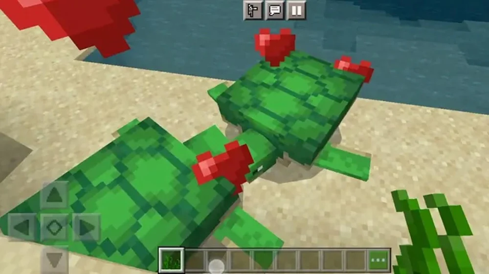 Quy trình nhân giống và cơ chế đẻ trứng của Rùa biển trong Minecraft 