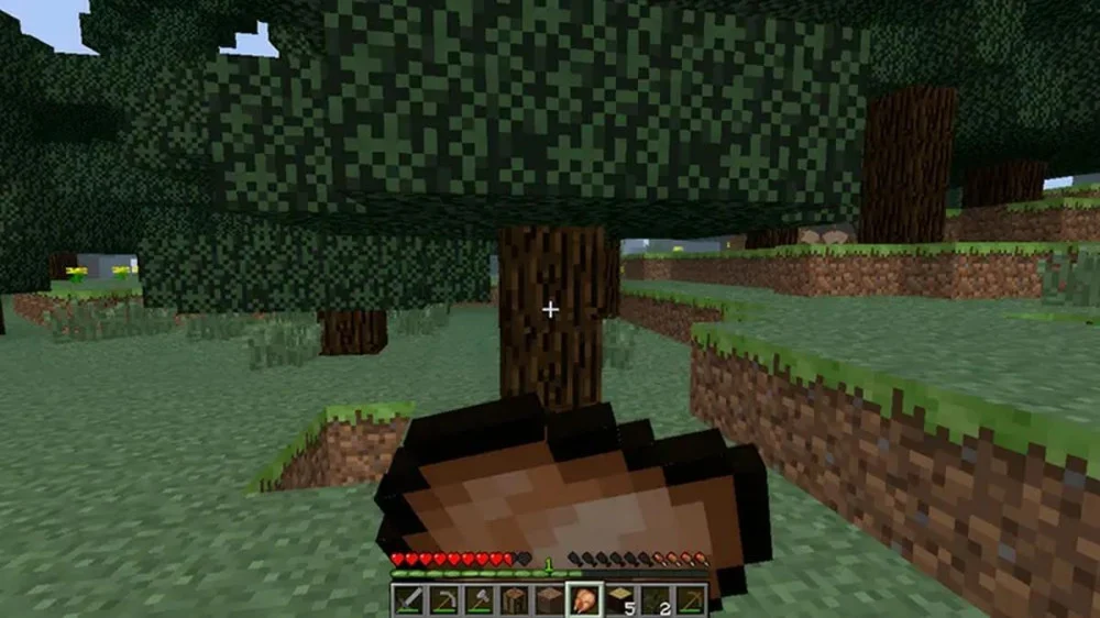 Quy Trình Ăn Và Hồi Phục Trong Minecraft