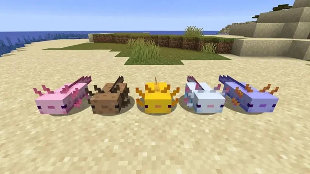 Các màu sắc và tỉ lệ xuất hiện của Axolotl trong Minecraft