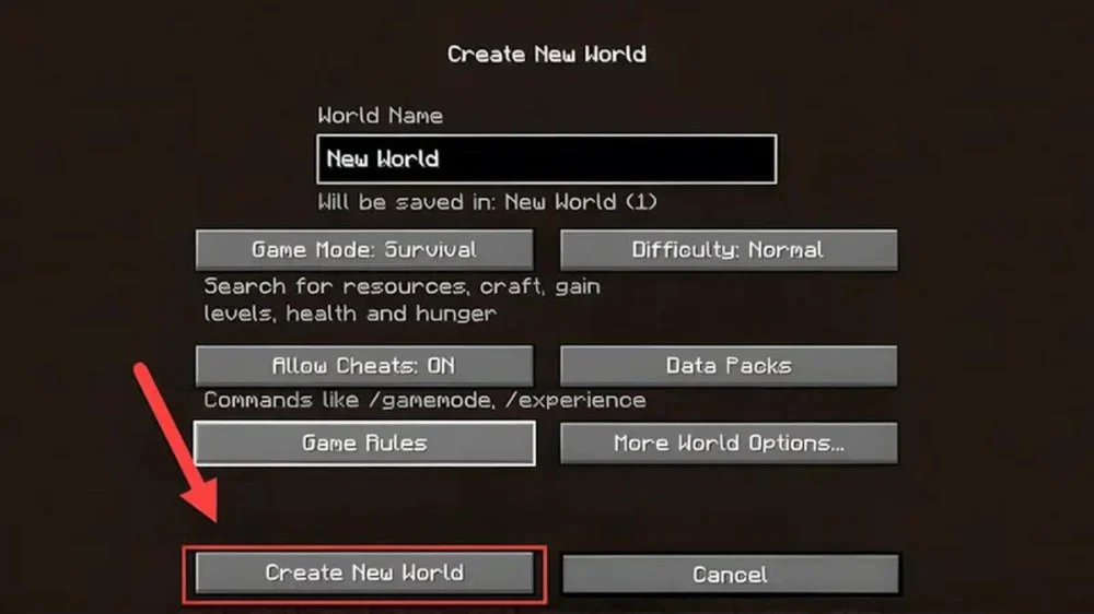 Nhấn Create New World để hoàn tất và bắt đầu dùng lệnh