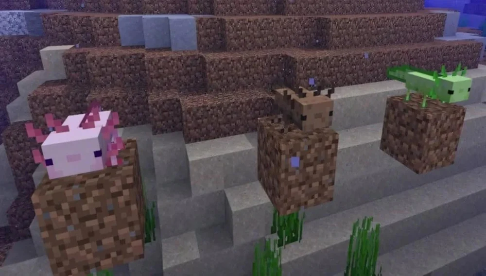Mẹo Xây Dựng Trang Trại Động Vật Minecraft