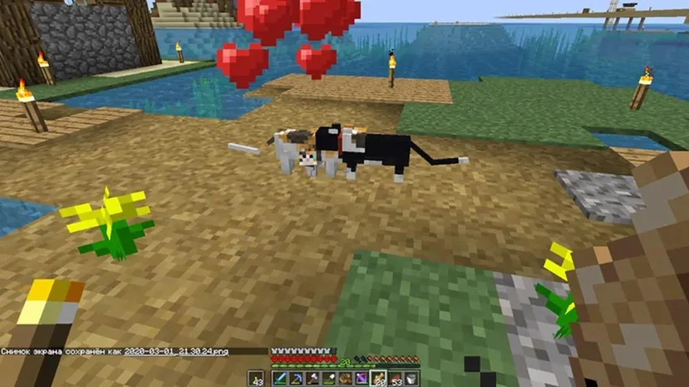 Cách nhân giống và nuôi lớn mèo con trong Minecraft