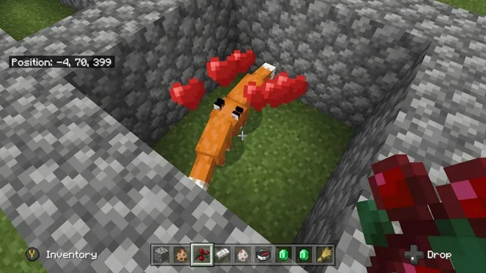 Quả mọng giúp sinh sản và thuần dưỡng cáo con Minecraft