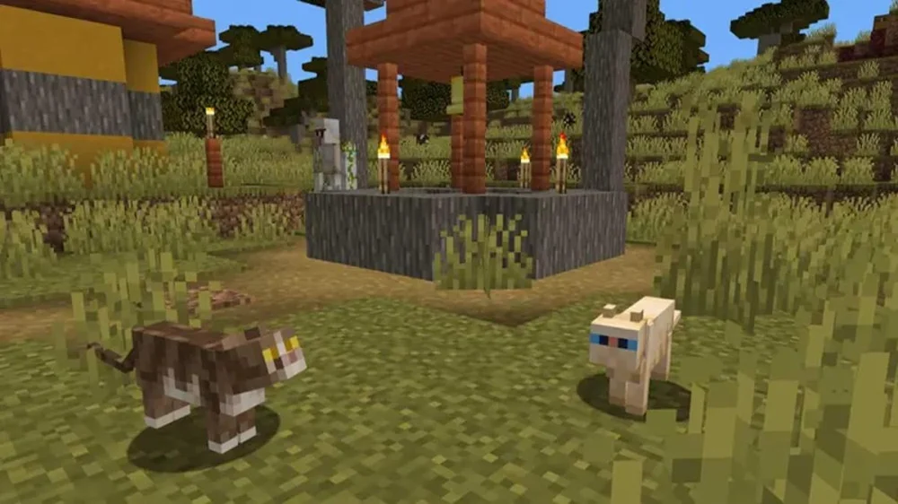 Nơi xuất hiện mèo hoang và mèo đen trong Minecraft