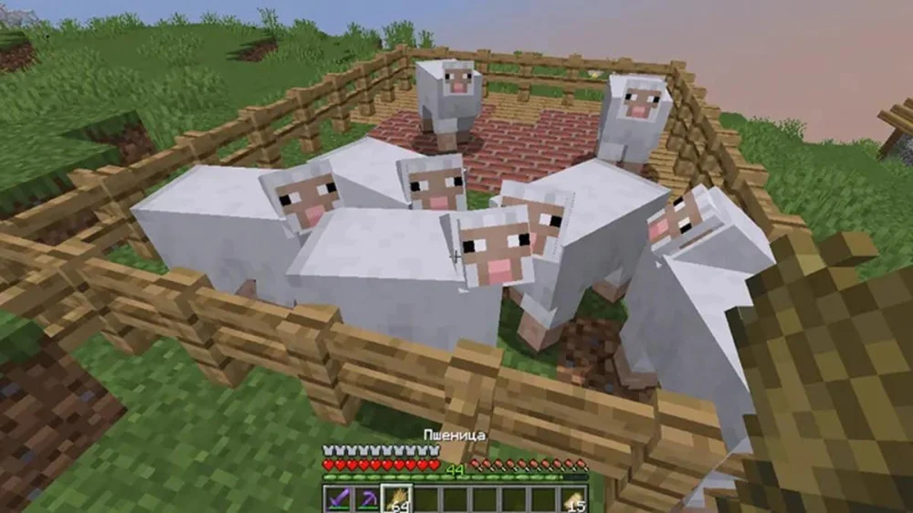 Tổng quan cách nuôi và lợi ích của cừu Minecraft 