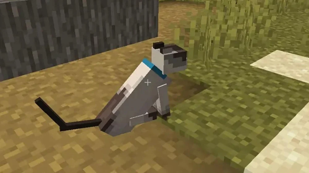 Thay đổi màu sắc vòng cổ mèo thuần hóa trong Minecraft