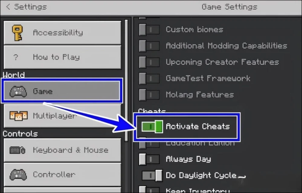 Vào Game Settings tìm Cheats rồi bật Activate Cheats sang ON