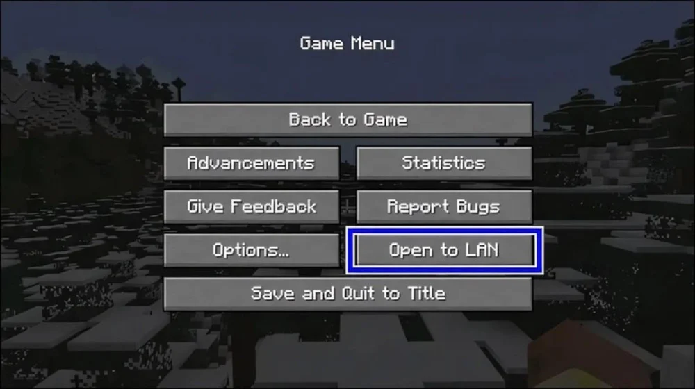 Đối với phiên bản Minecraft Java