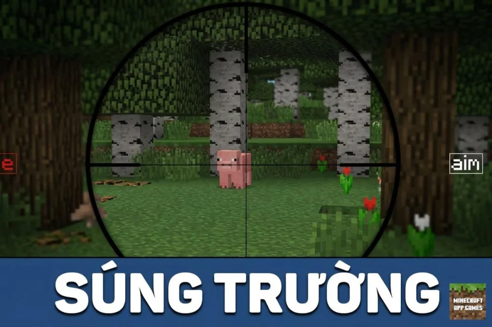 Giải Đáp Thắc Mắc Về An Toàn Và Cách Sử Dụng Mod Súng MCPE 