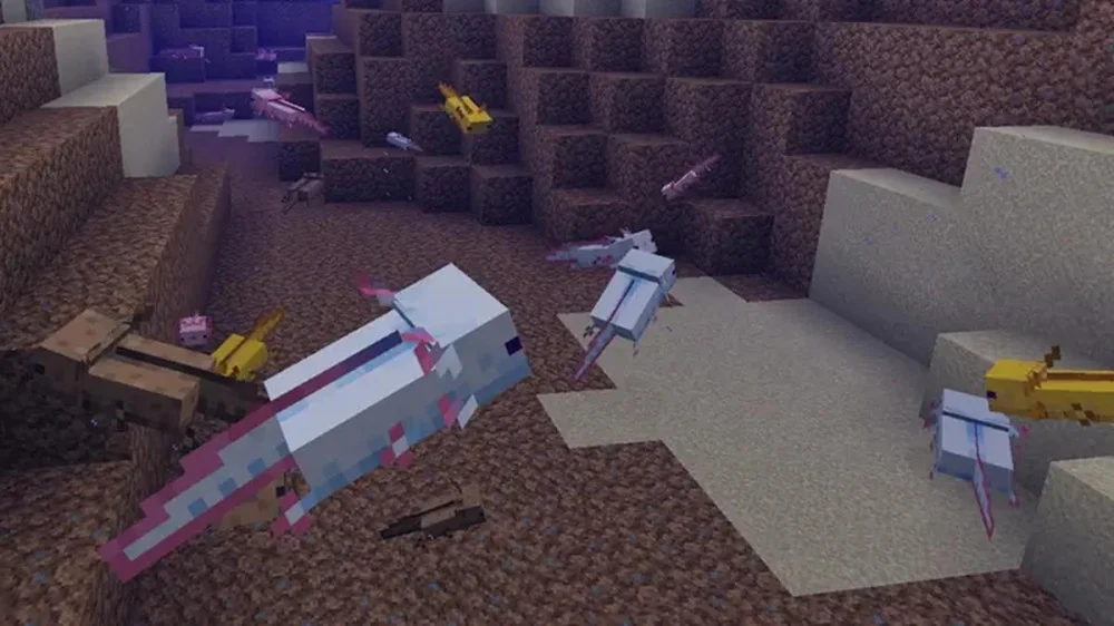 Giải đáp thắc mắc thường gặp về Axolotl trong Minecraft