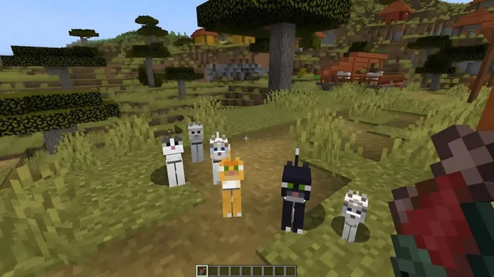Cách tiếp cận và thuần hóa mèo hoang trong Minecraft