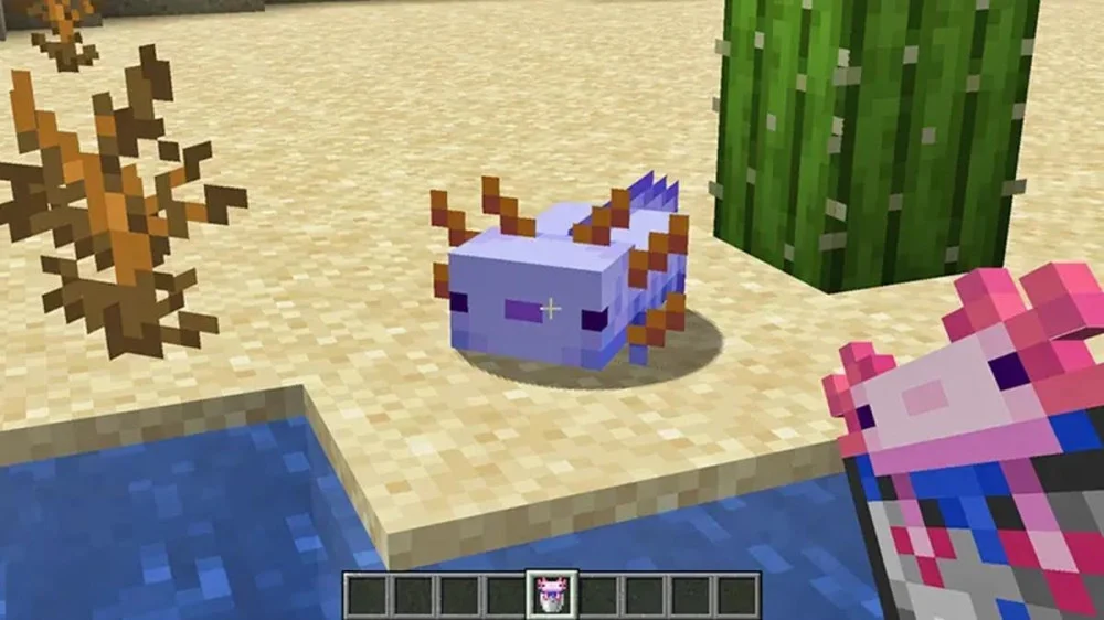 Cách bắt và nhân giống Axolotl trong Minecraft