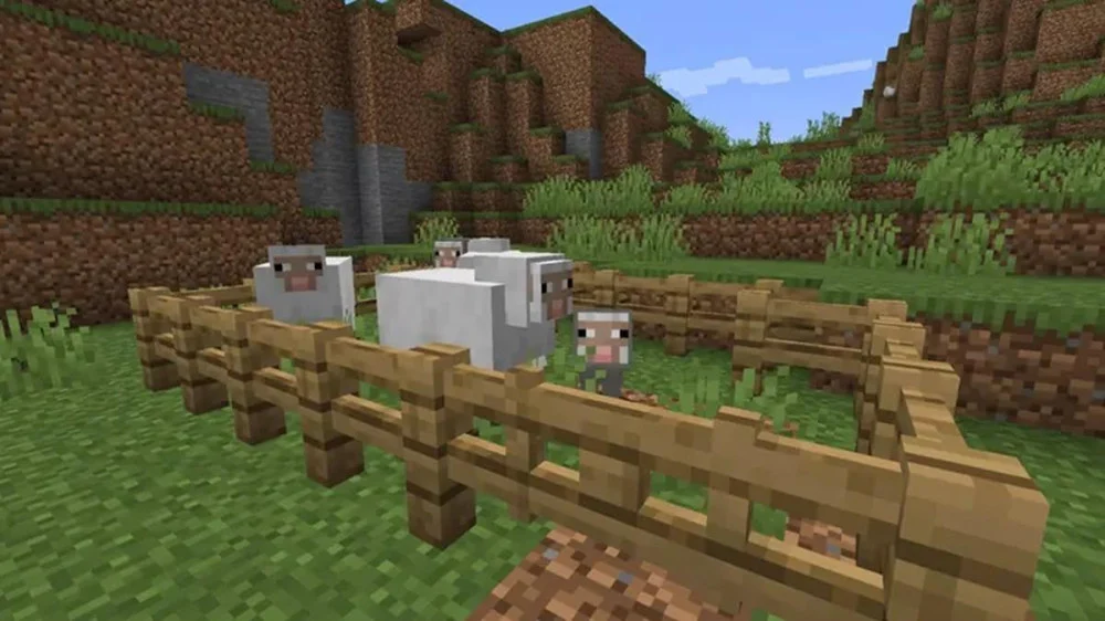 Quy trình thuần hóa và nhân giống cừu trong Minecraft