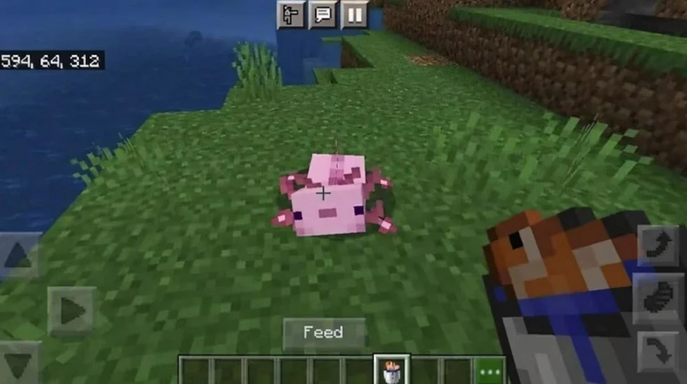 Cách Tìm Kiếm Và Khai Thác Thực Phẩm Minecraft