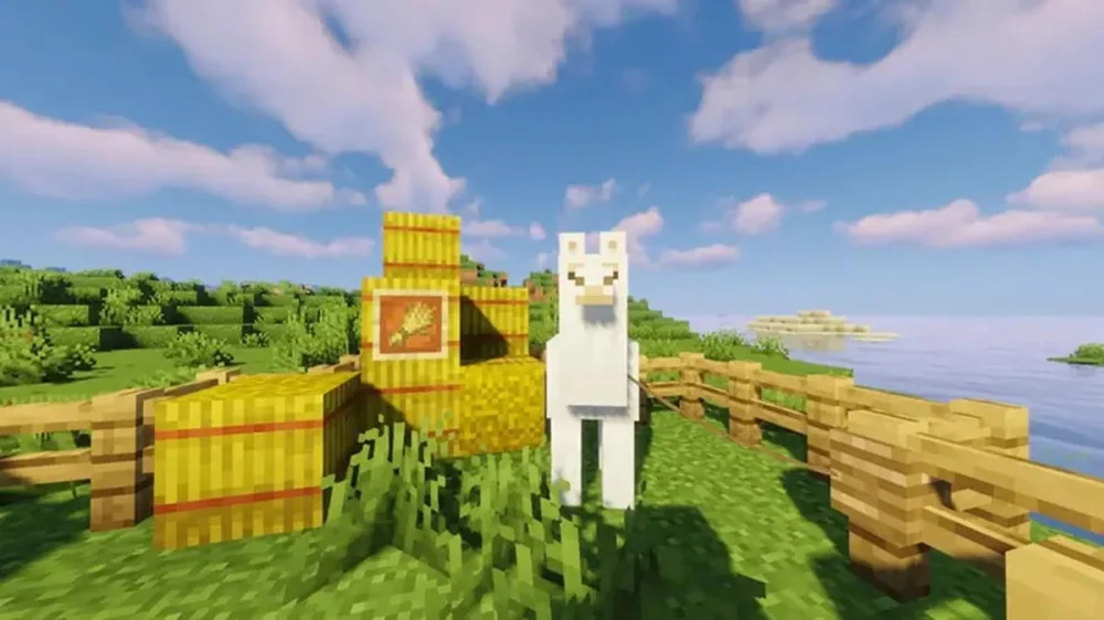 Cách Thuần Hóa Và Vận Chuyển Với Lạc Đà Minecraft 