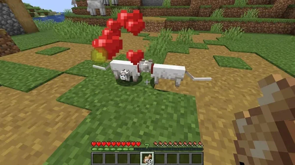 Cách tìm thuần hóa và lợi ích của mèo Minecraft 