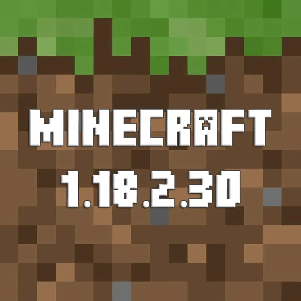 Minecraft 1.18.2.30