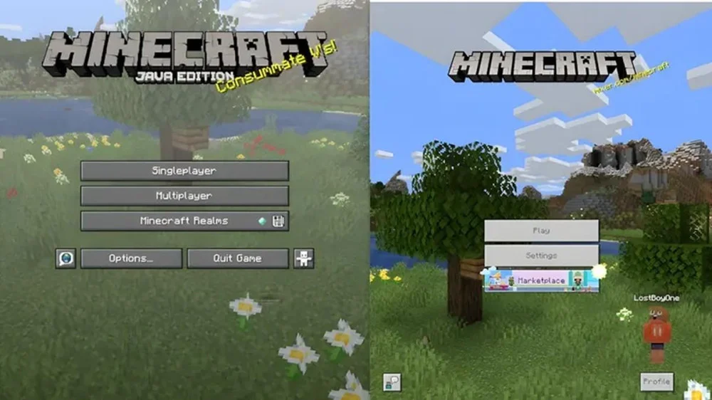 Sự Khác Biệt Giữa Hai Phiên Bản Minecraft Chính Thức