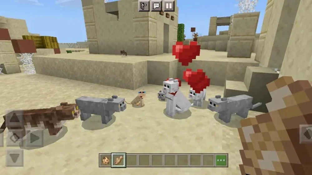 Mèo Minecraft chỉ ăn cá tuyết sống và cá hồi sống