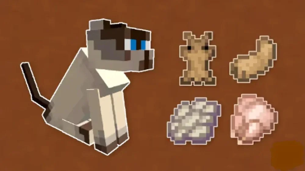 Quà tặng bí mật từ mèo khi ngủ trong Minecraft