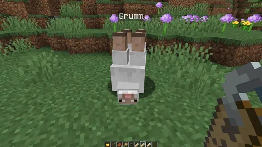 Bí mật thú vị và trứng phục sinh về cừu trong Minecraft