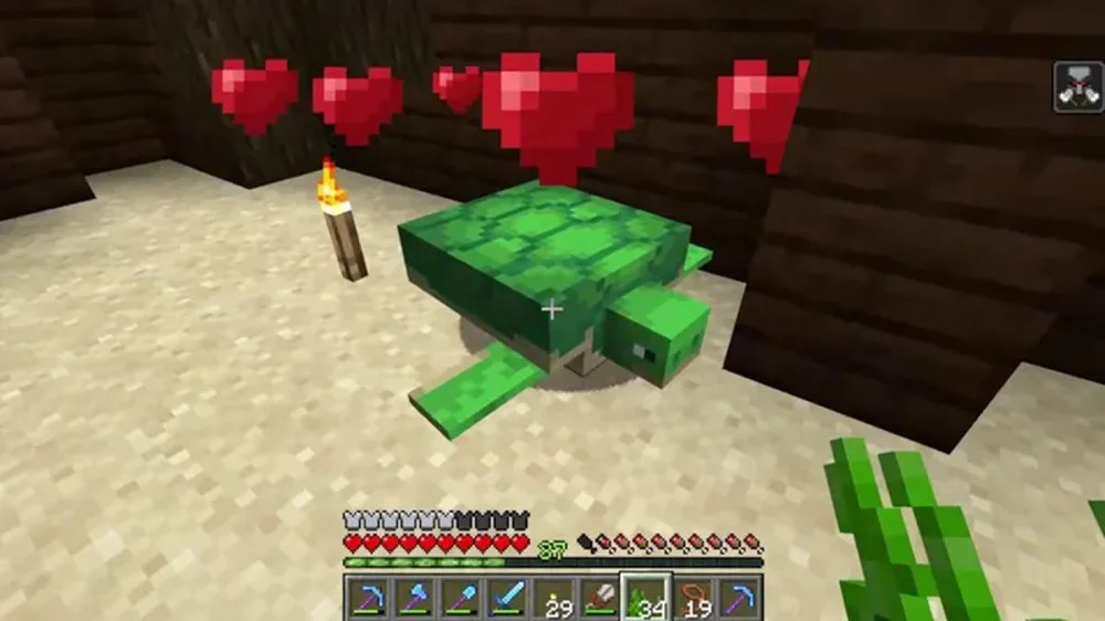 Công dụng của Cỏ Biển đối với Rùa trong Minecraft 