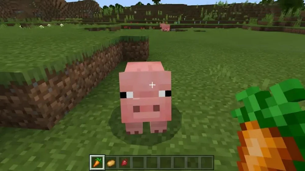Sử Dụng Cà Rốt Để Nhân Giống Động Vật Trong Minecraft