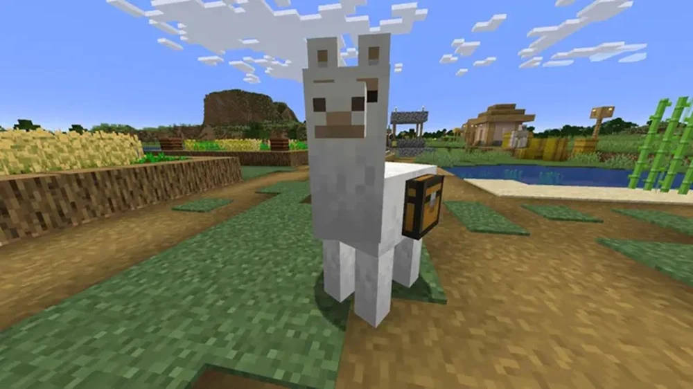 Cách sử dụng Lạc đà không bướu để vận chuyển và trang trí trong Minecraft