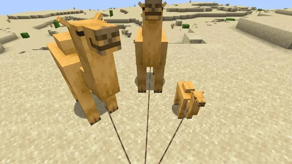 Những sự thật thú vị và nghịch lý về Lạc đà trong Minecraft và ngoài đời thực