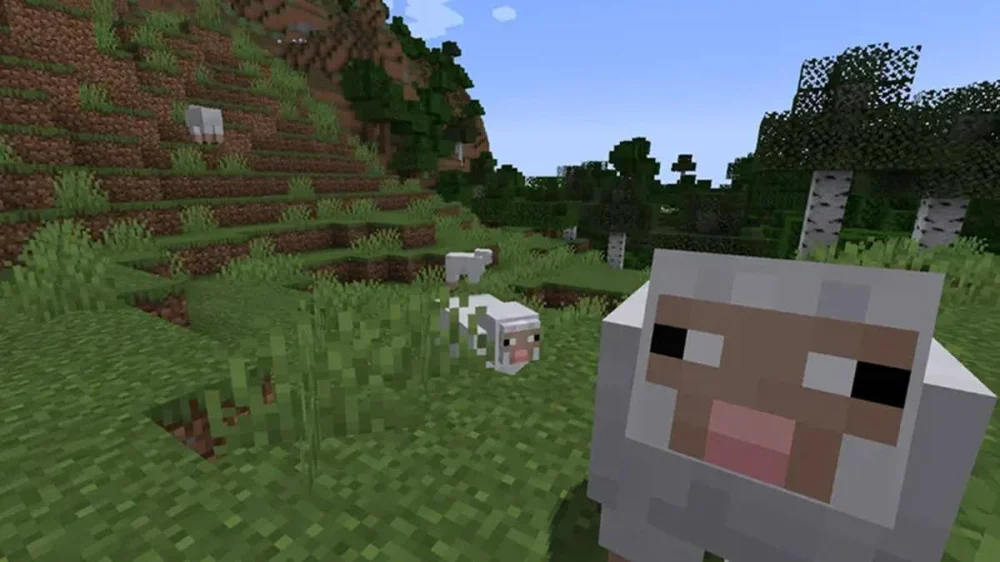 Đặc điểm và tỷ lệ xuất hiện của cừu trong Minecraft