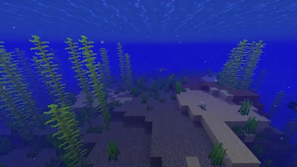 Nguồn tìm kiếm và mẹo thu hoạch Cỏ Biển hiệu quả trong Minecraft 