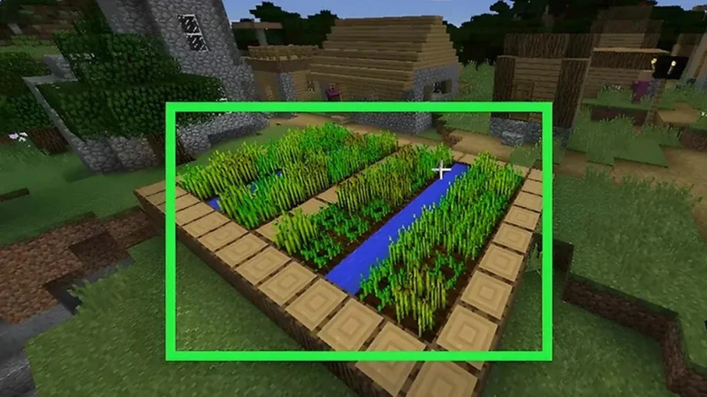 Thu Hoạch Cà Rốt Từ Các Ngôi Làng Minecraft