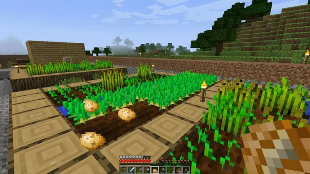 Cách Trồng Trọt Và Thu Hoạch Lương Thực Minecraft