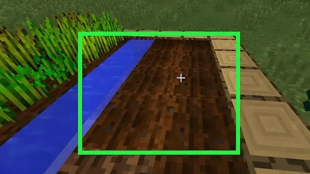 Các Quy Tắc Quan Trọng Khi Canh Tác Đất Trong Minecraft